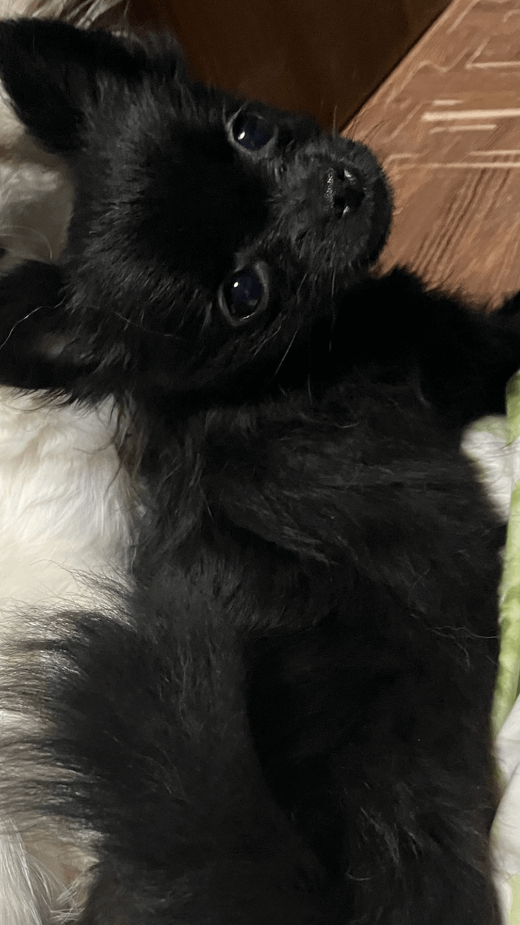 なな