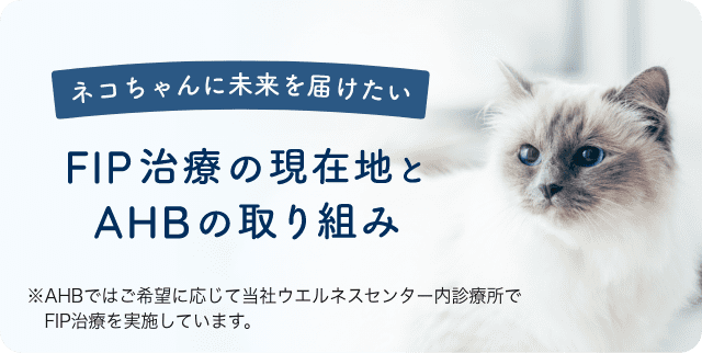 ネコちゃんに未来を届けたい。FIP治療の現在地とAHBの取り組み。AHBではご希望に応じて当社ウエルネスセンター内診療所でFIP治療を実施しています。