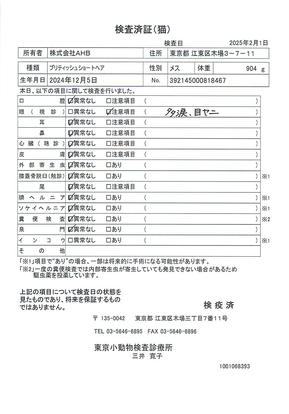 ブリティッシュショートヘア