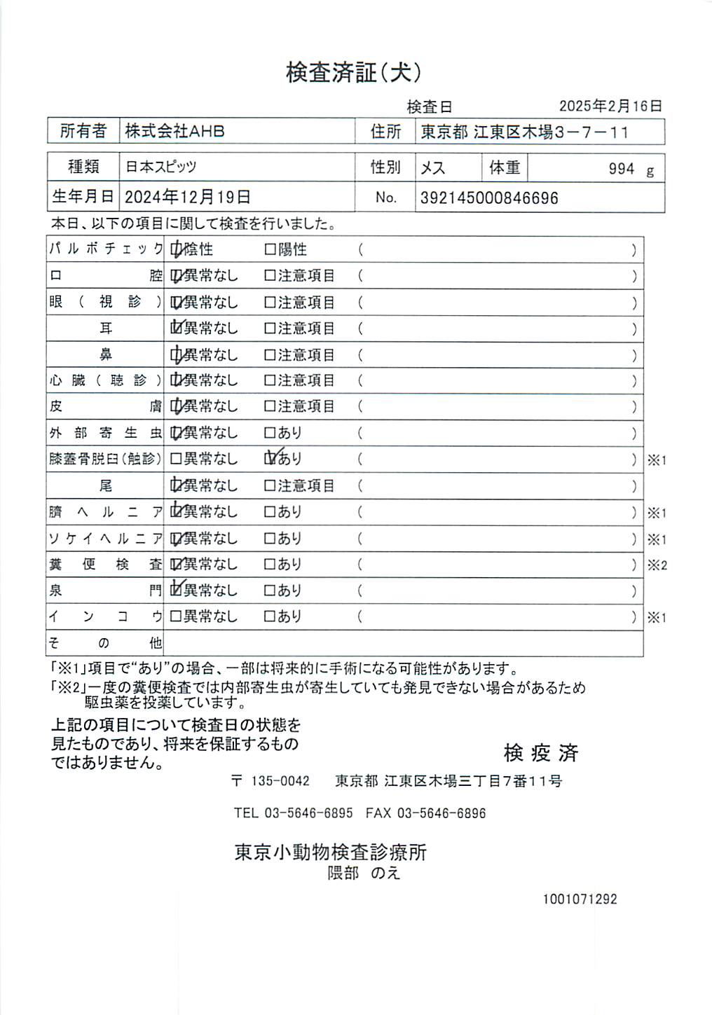 日本スピッツ