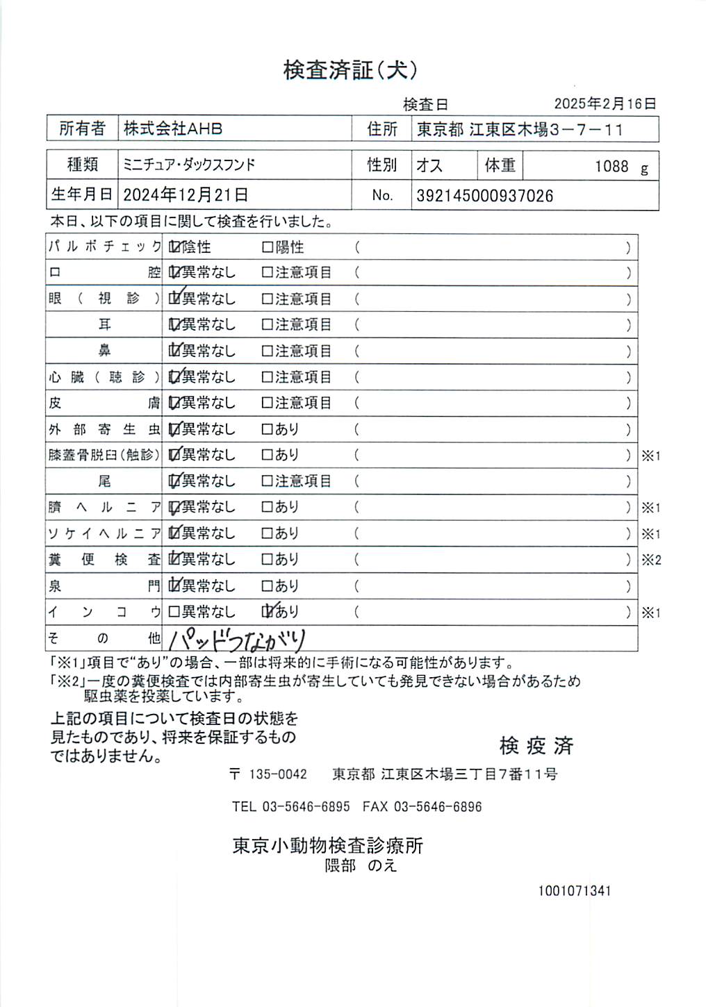 ミニチュア・ダックスフンド