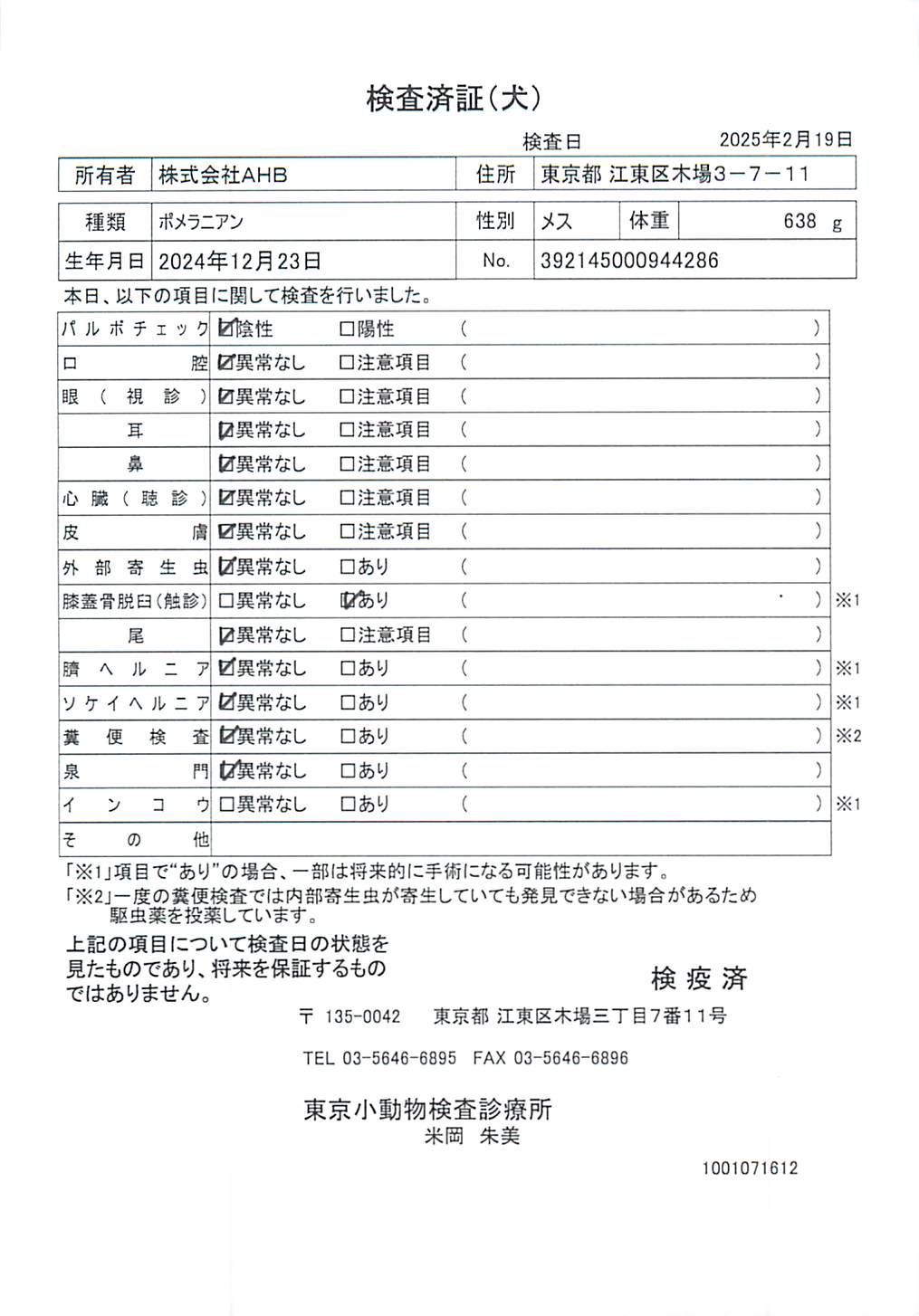 ポメラニアン