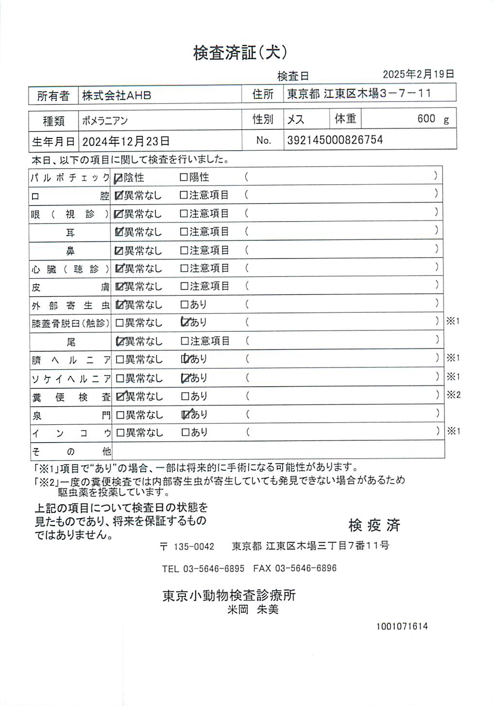 ポメラニアン