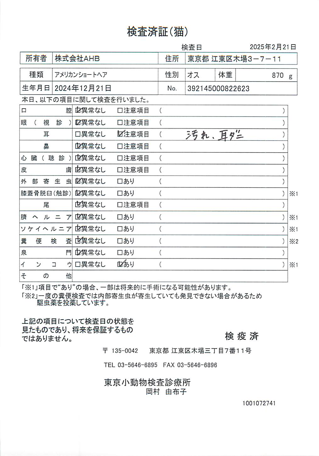 アメリカンショートヘア