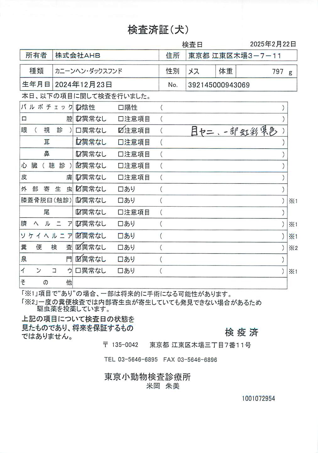 カニーンヘン・ダックスフンド