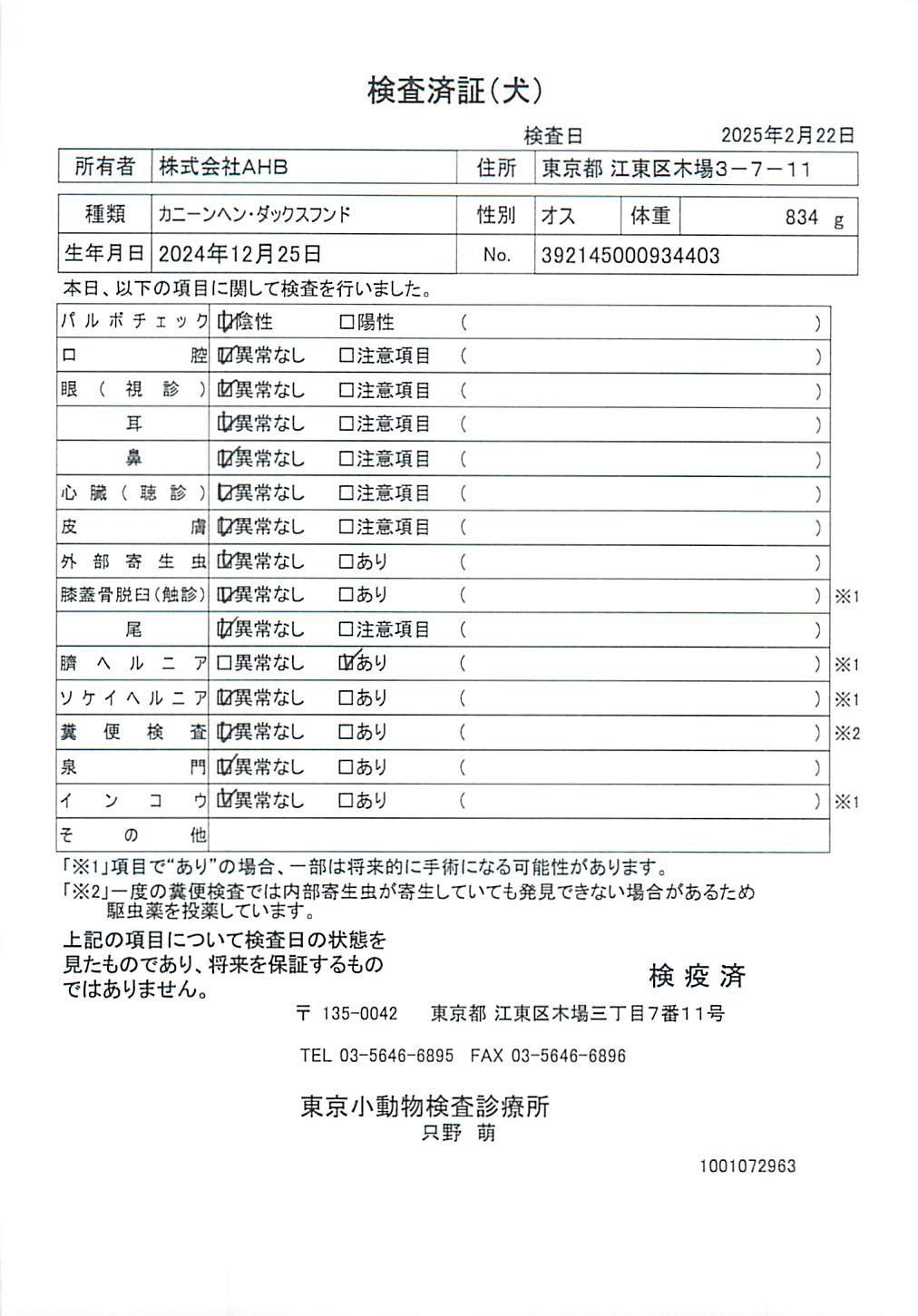 カニーンヘン・ダックスフンド