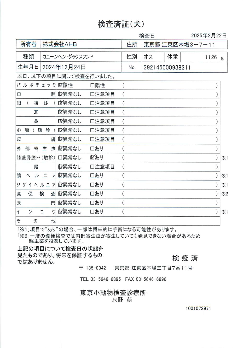 カニーンヘン・ダックスフンド