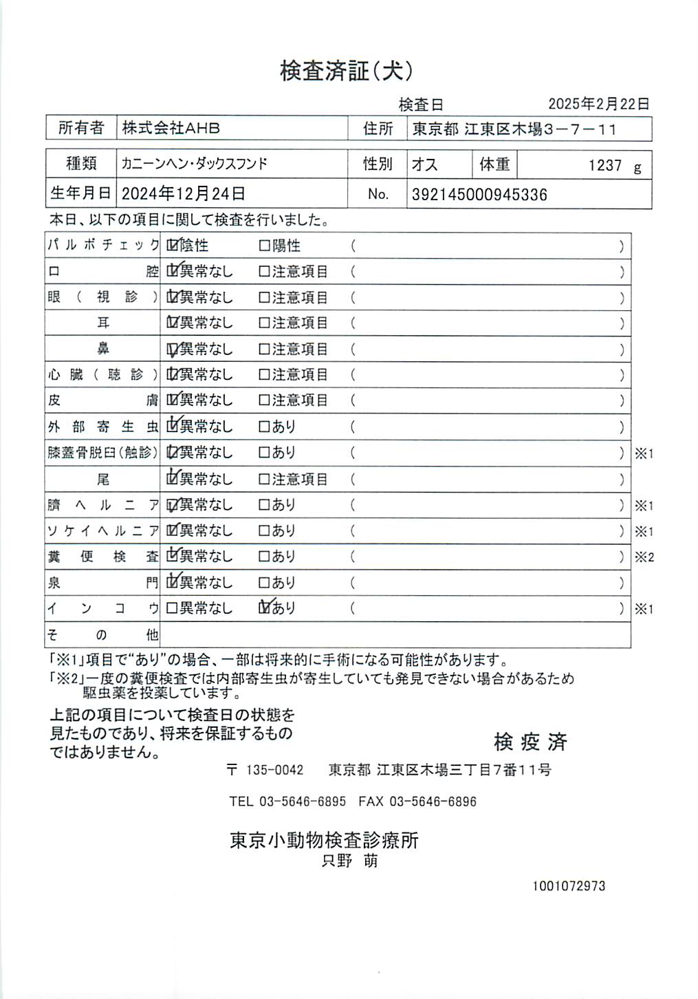 カニーンヘン・ダックスフンド