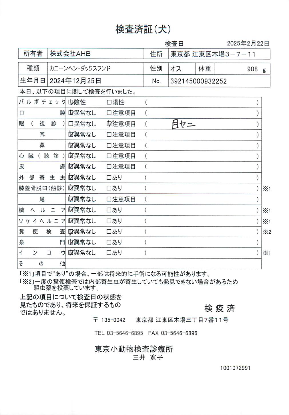 カニーンヘン・ダックスフンド