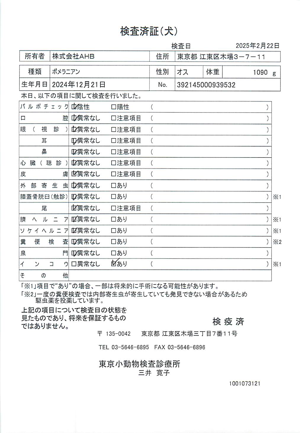 ポメラニアン