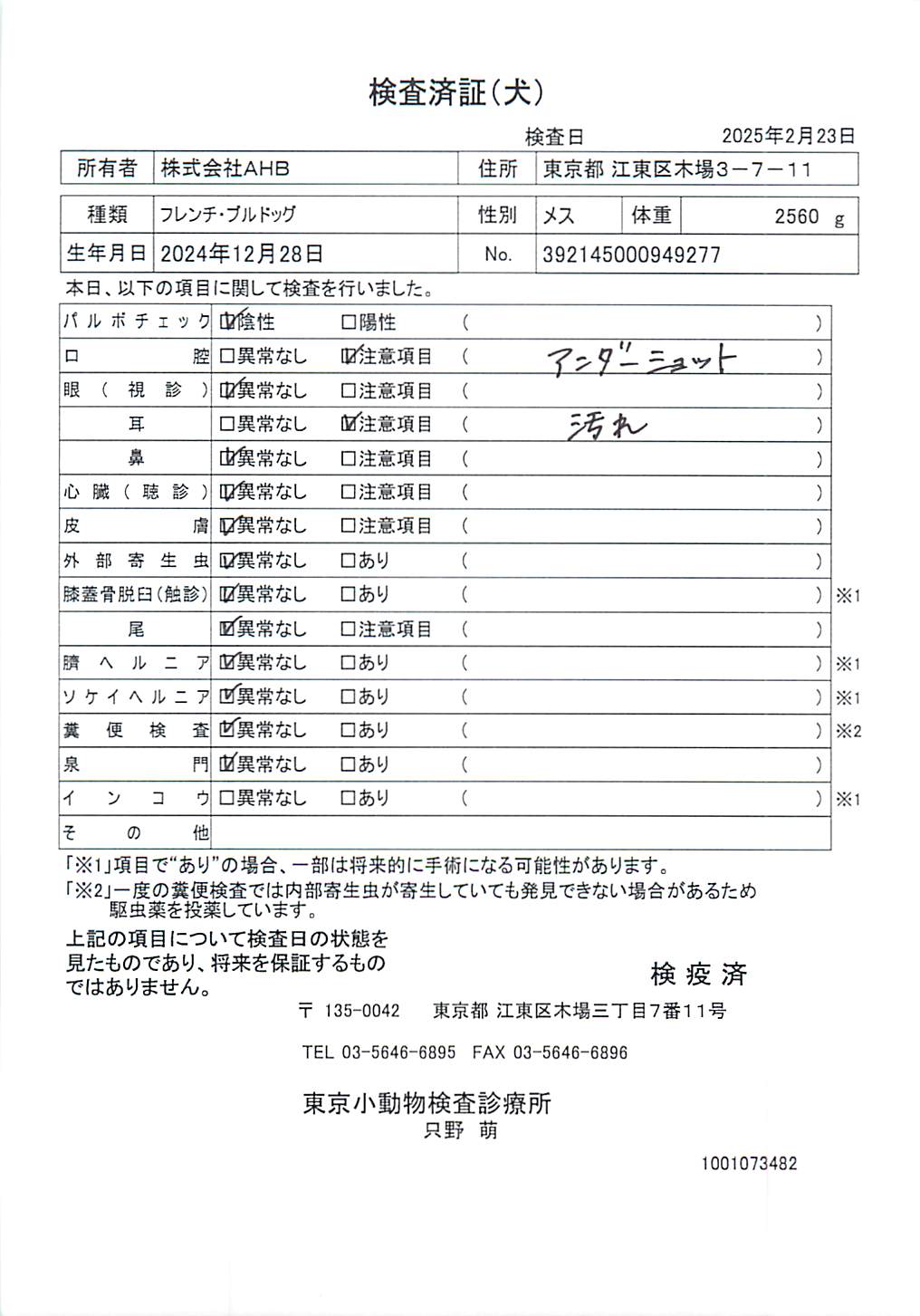 フレンチ・ブルドッグ