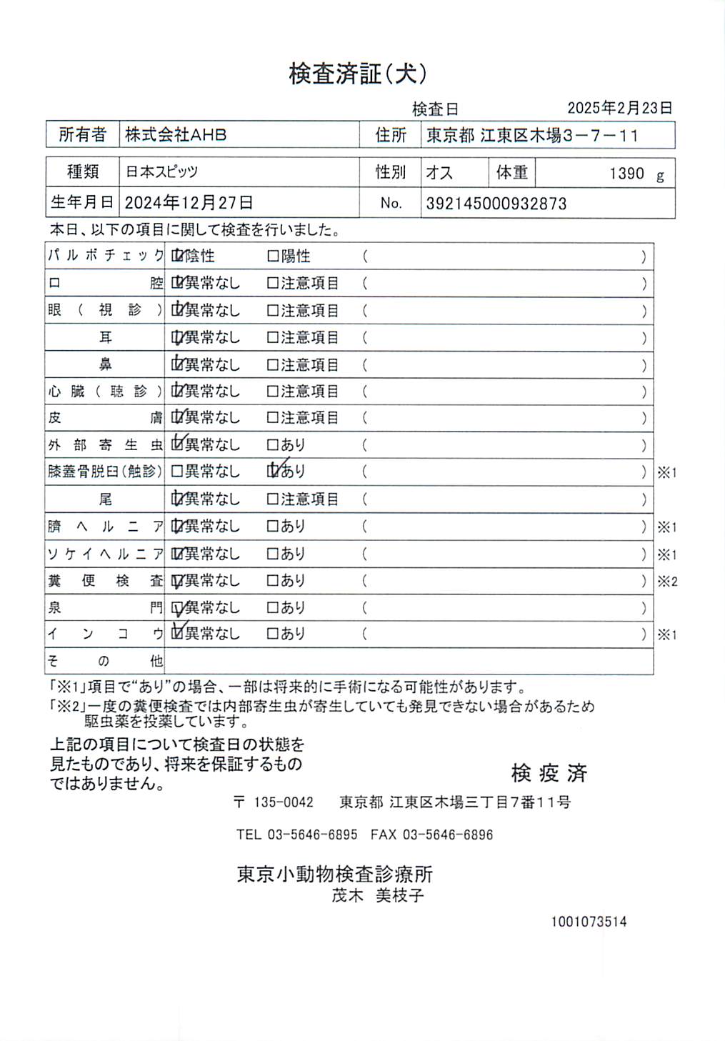 日本スピッツ