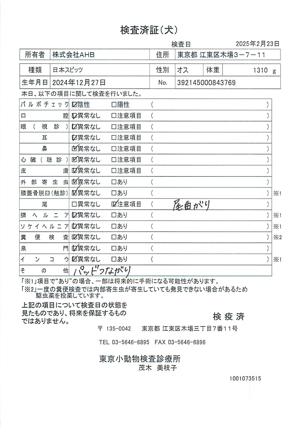 日本スピッツ