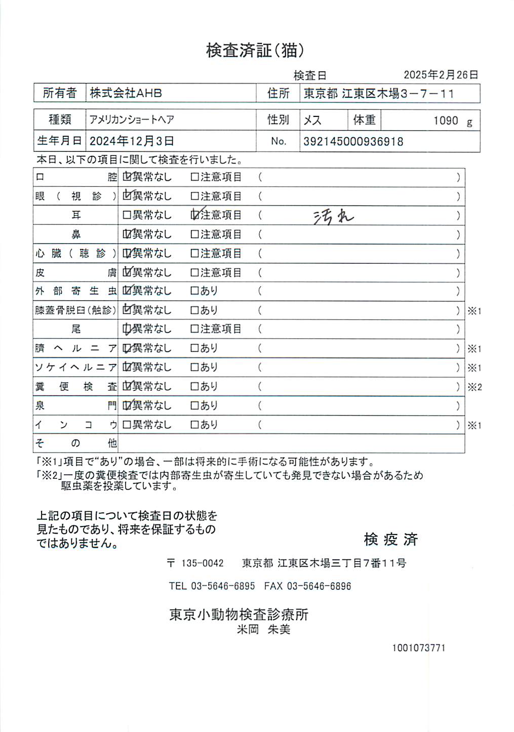 アメリカンショートヘア