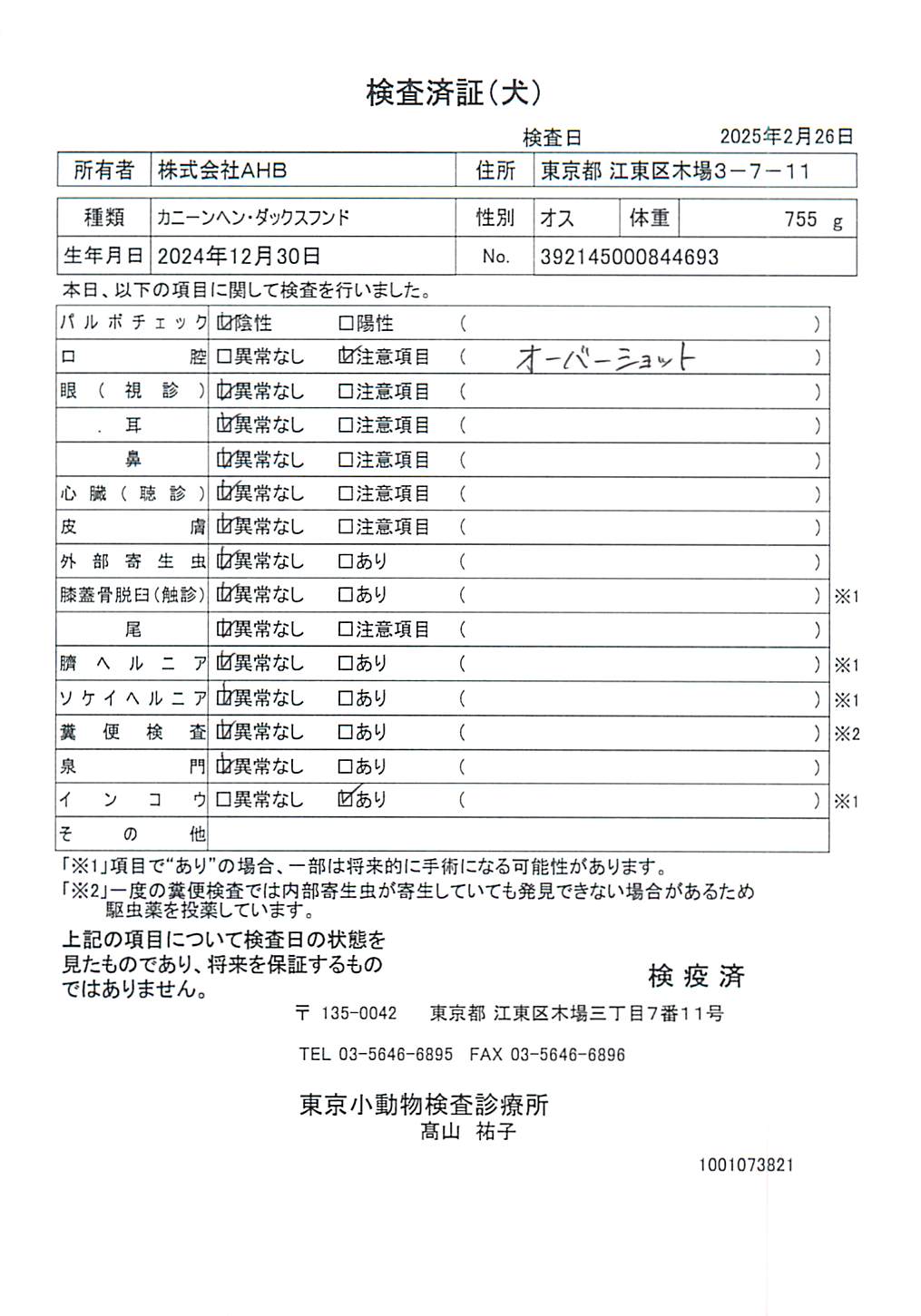 カニーンヘン・ダックスフンド