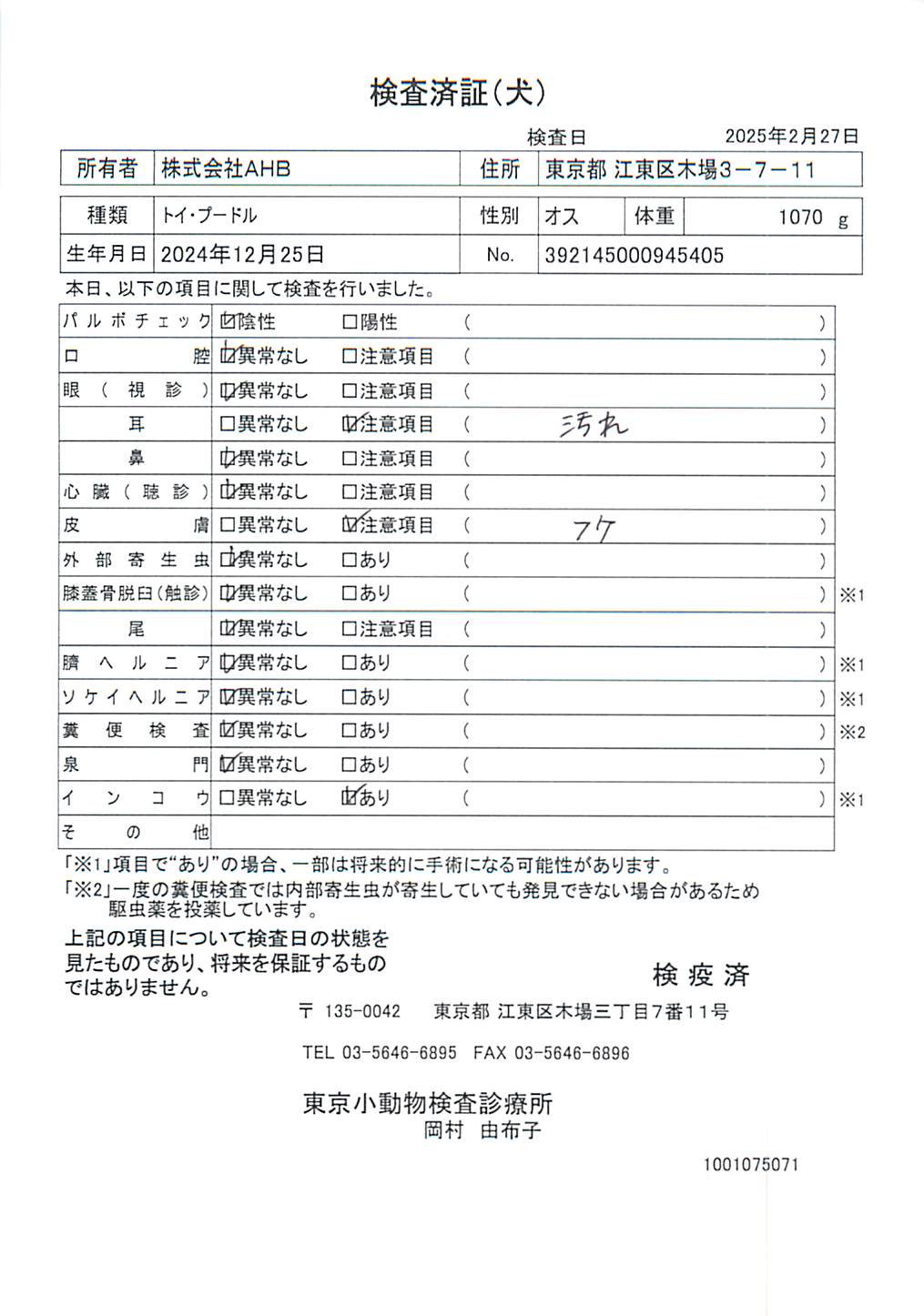 トイ・プードル