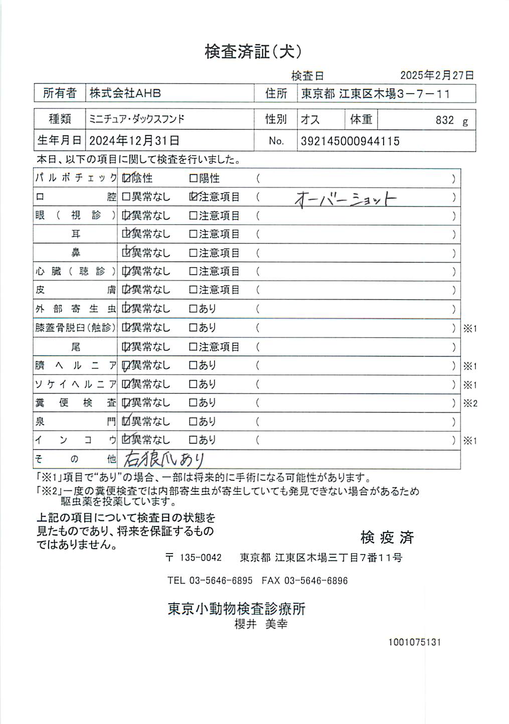 ミニチュア・ダックスフンド