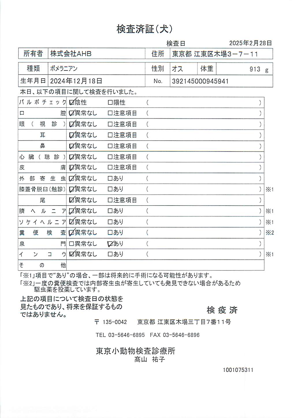 ポメラニアン