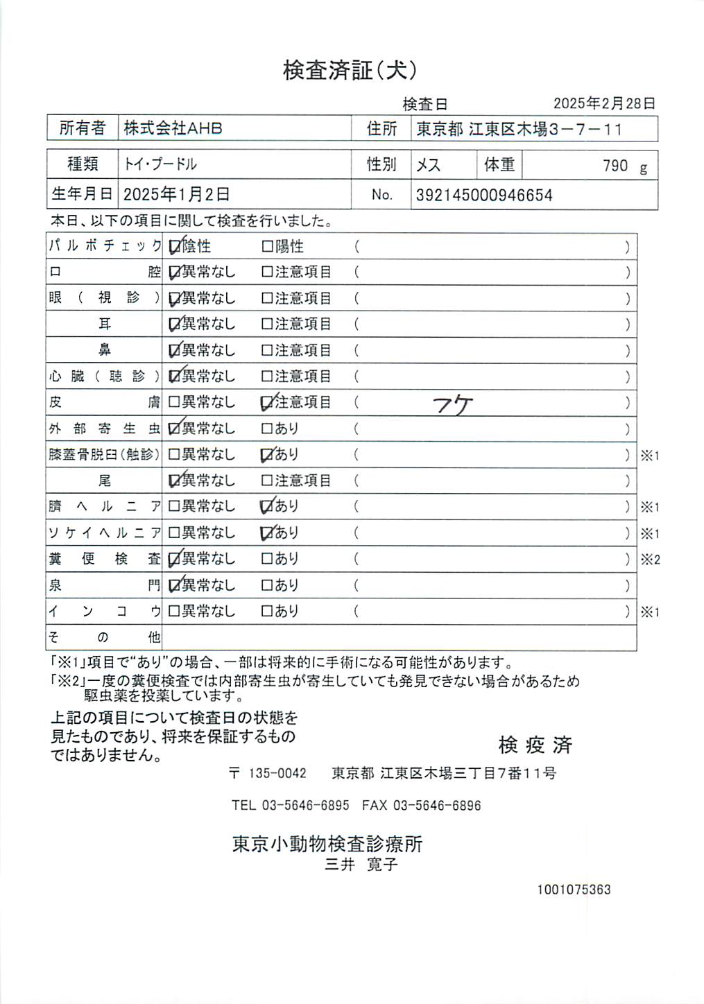 トイ・プードル