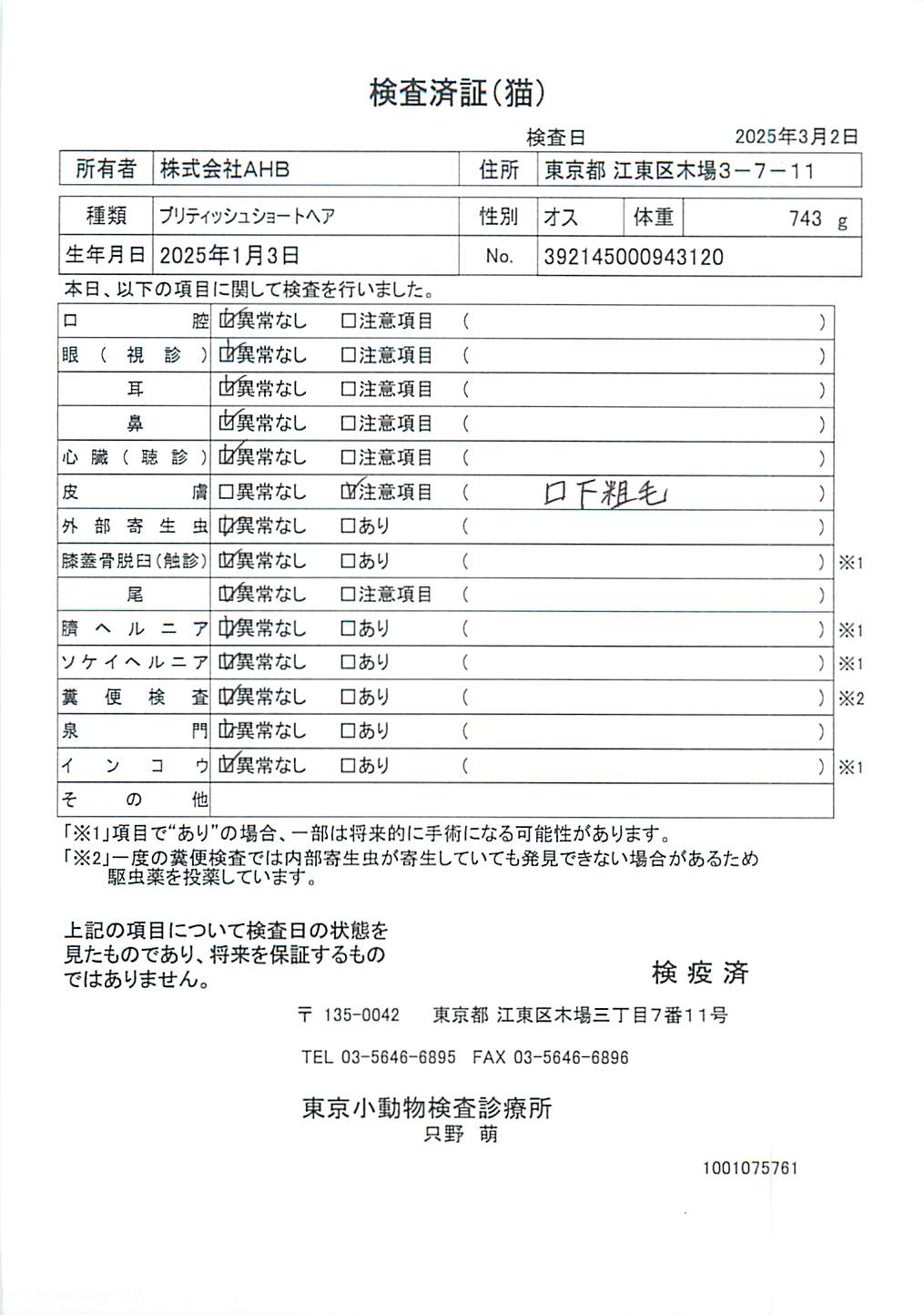 ブリティッシュショートヘア