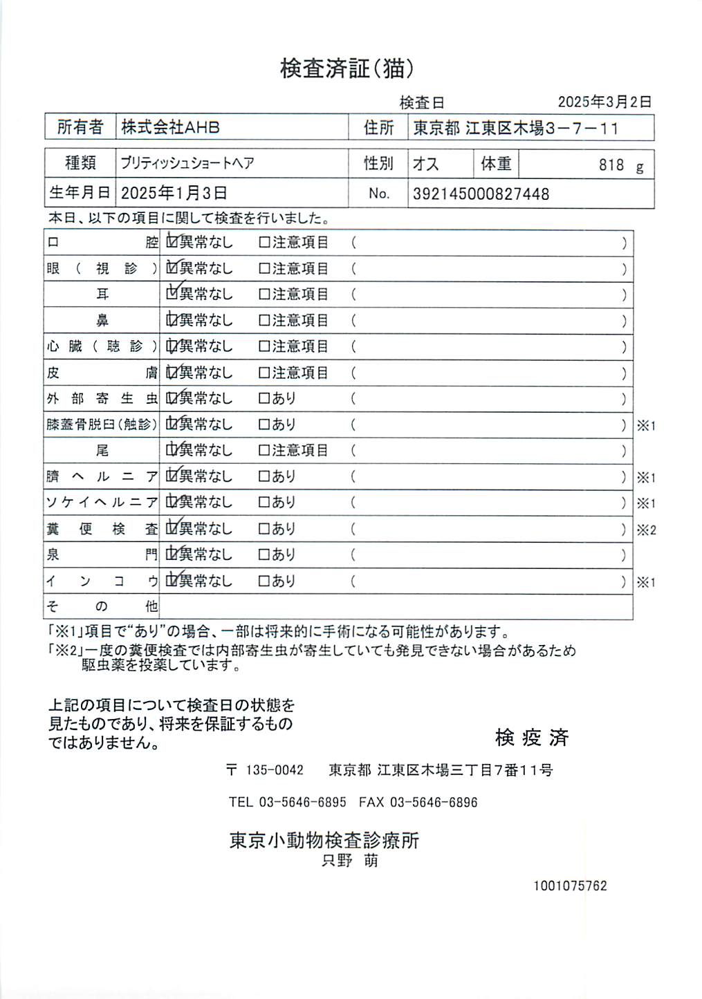 ブリティッシュショートヘア