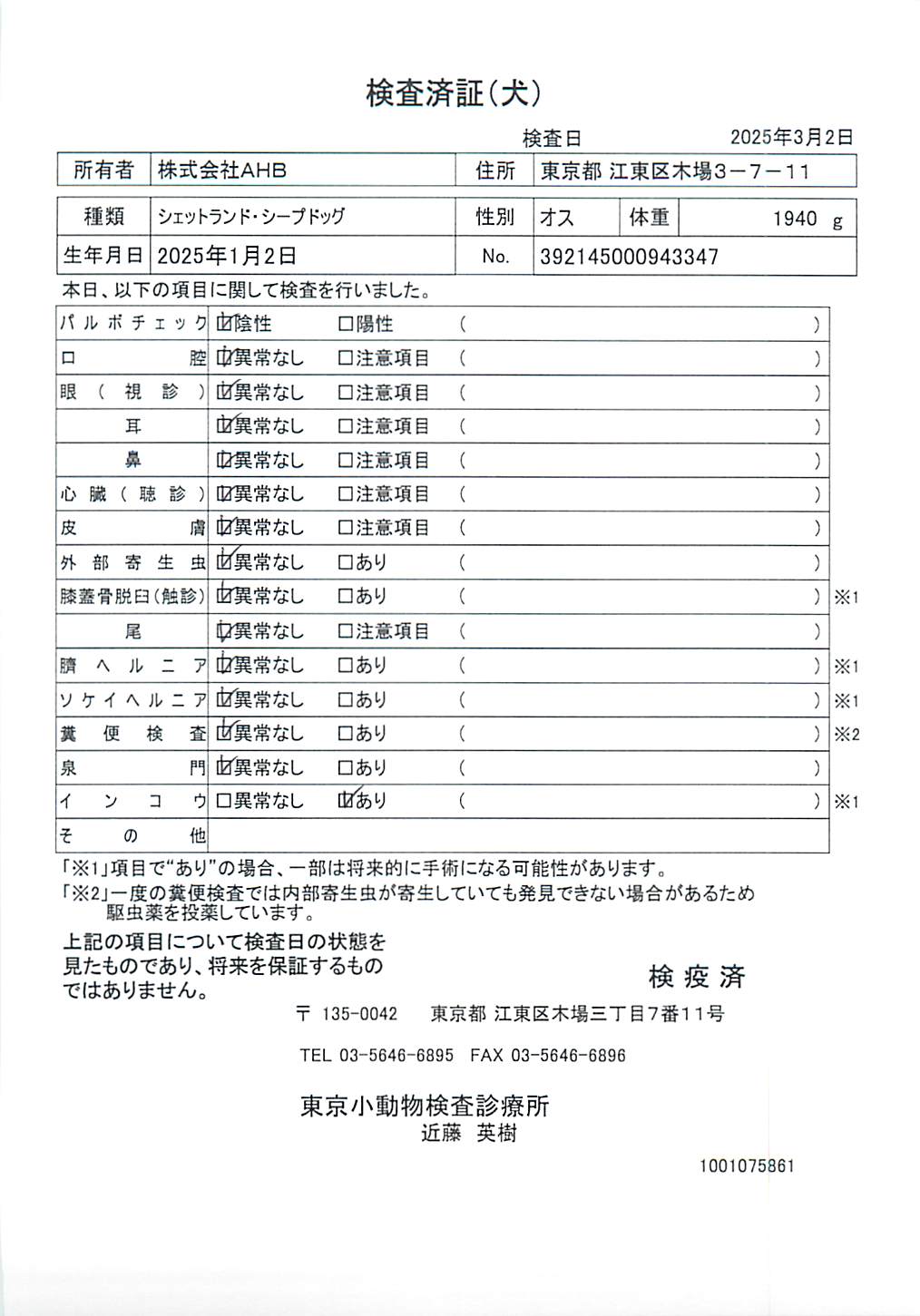 シェットランド・シープドッグ