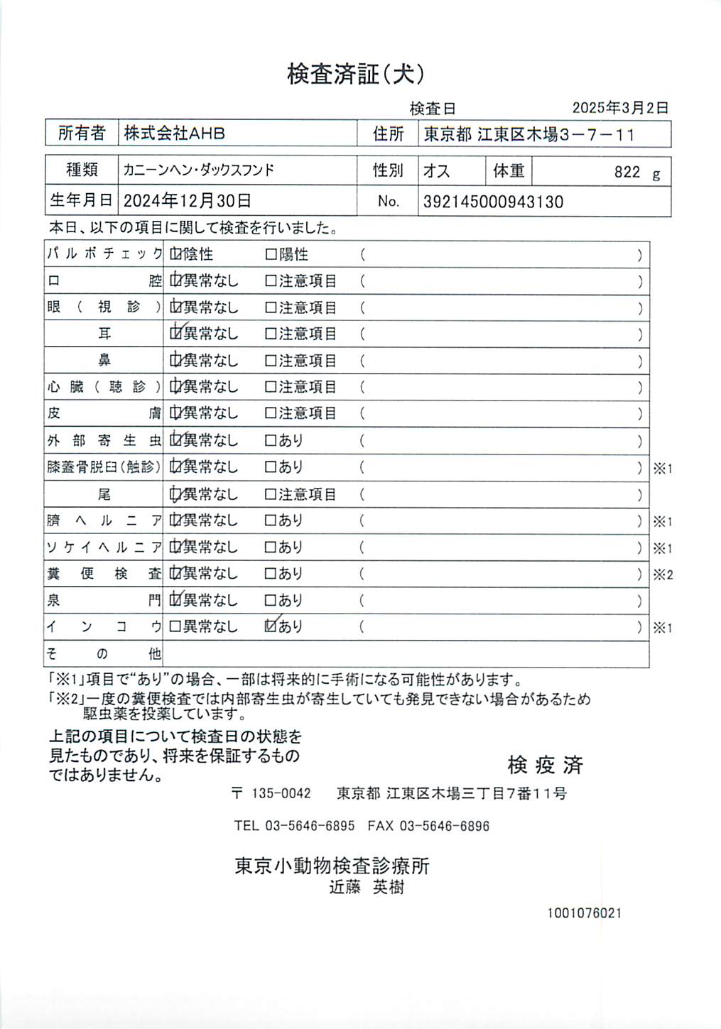 カニーンヘン・ダックスフンド