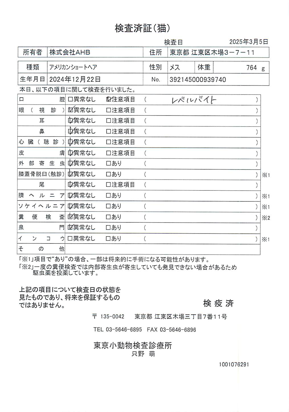 アメリカンショートヘア