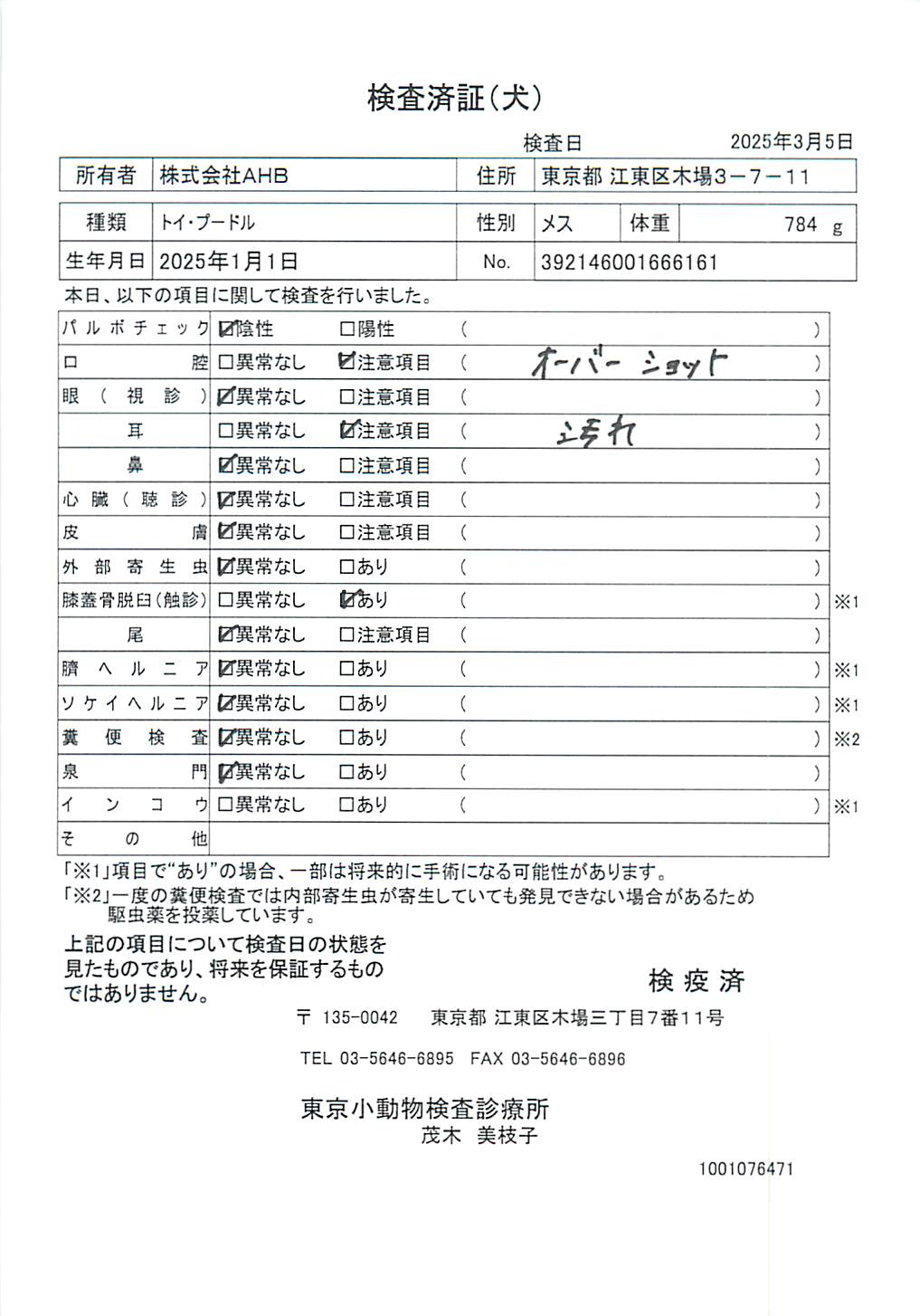 トイ・プードル