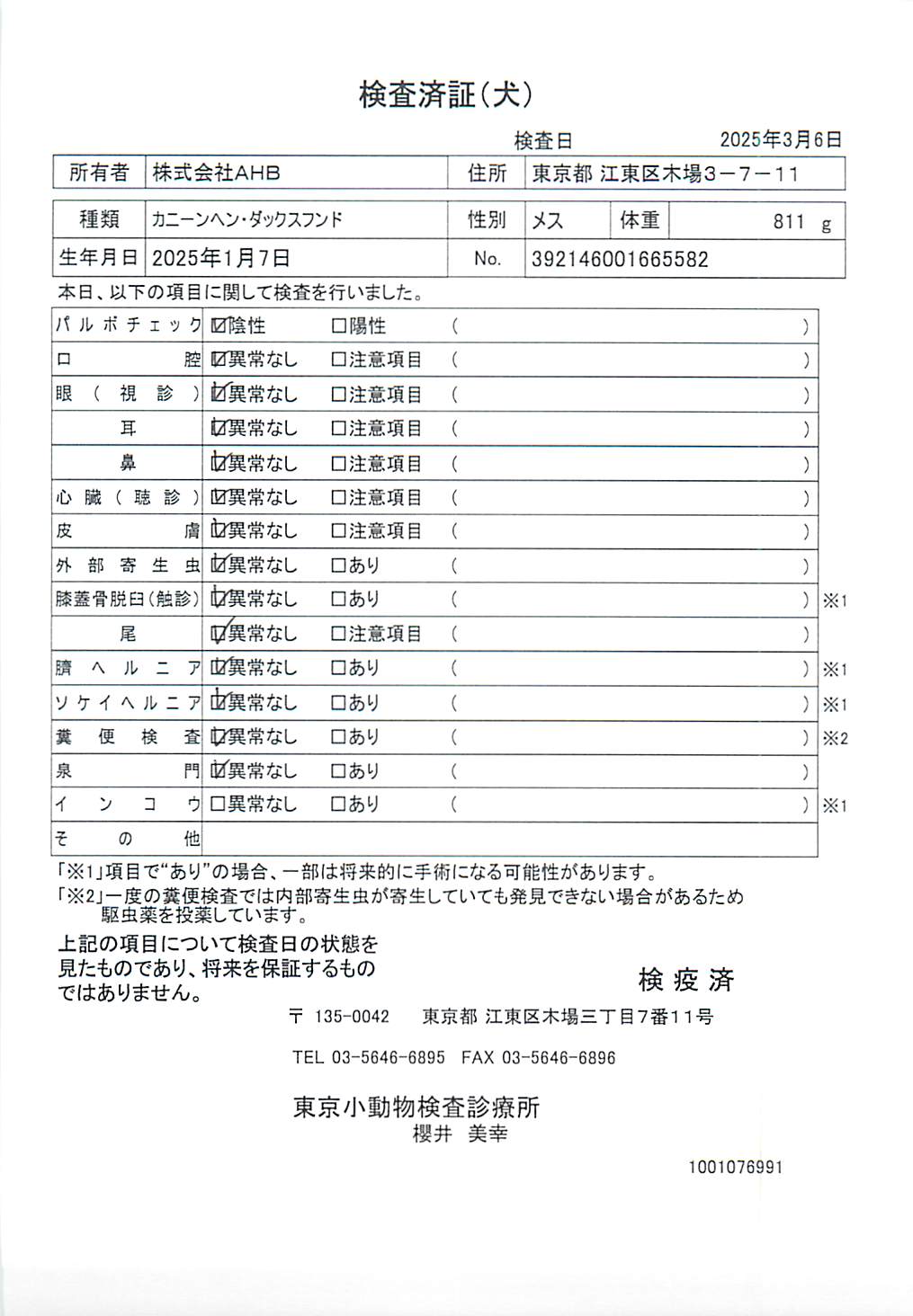 カニーンヘン・ダックスフンド