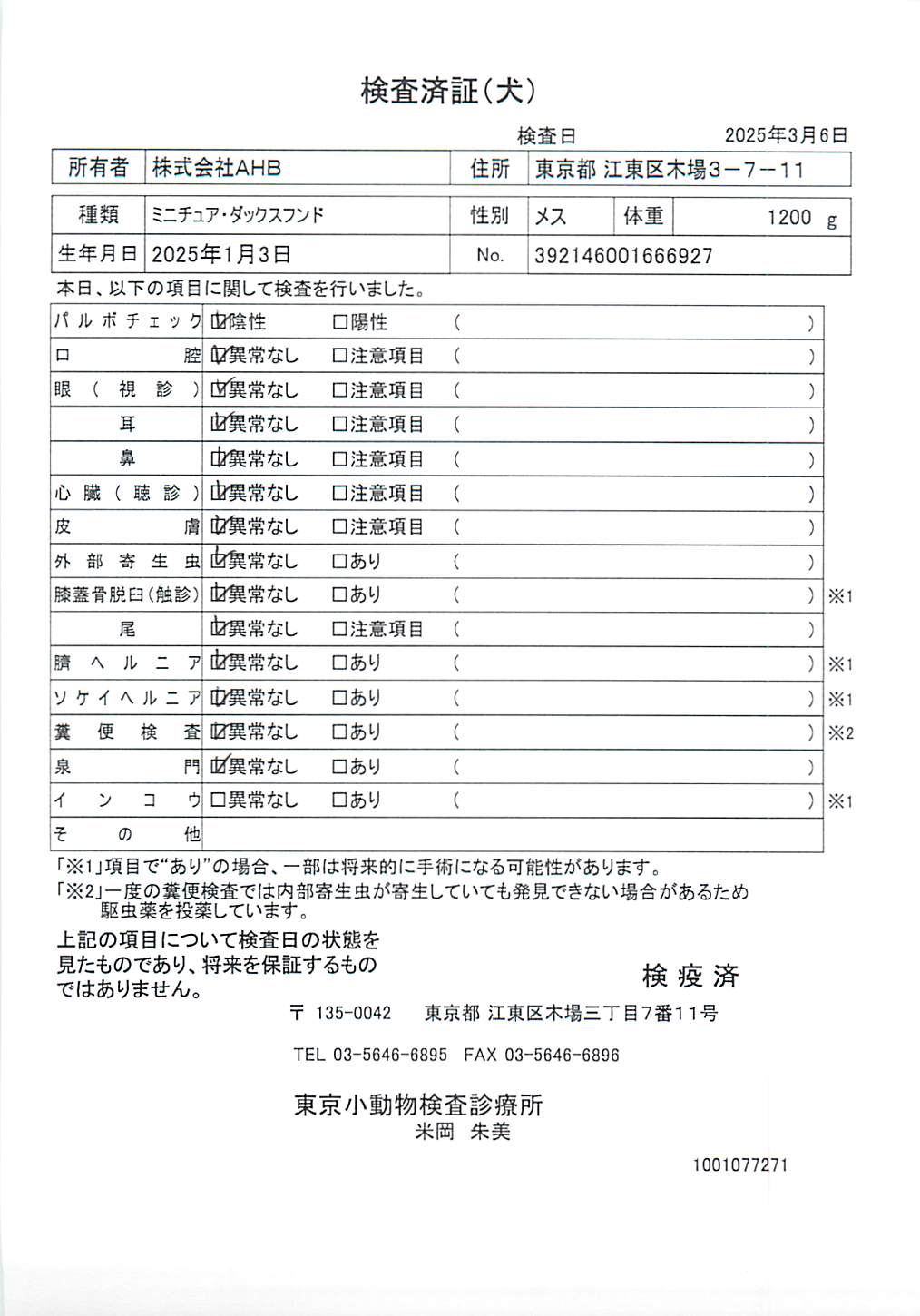 ミニチュア・ダックスフンド