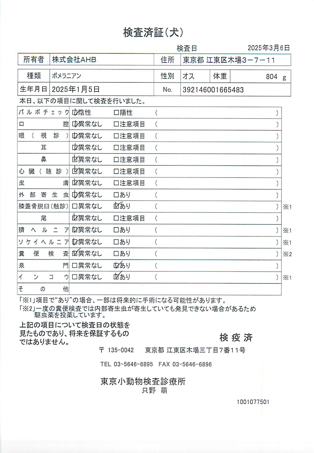 ポメラニアン