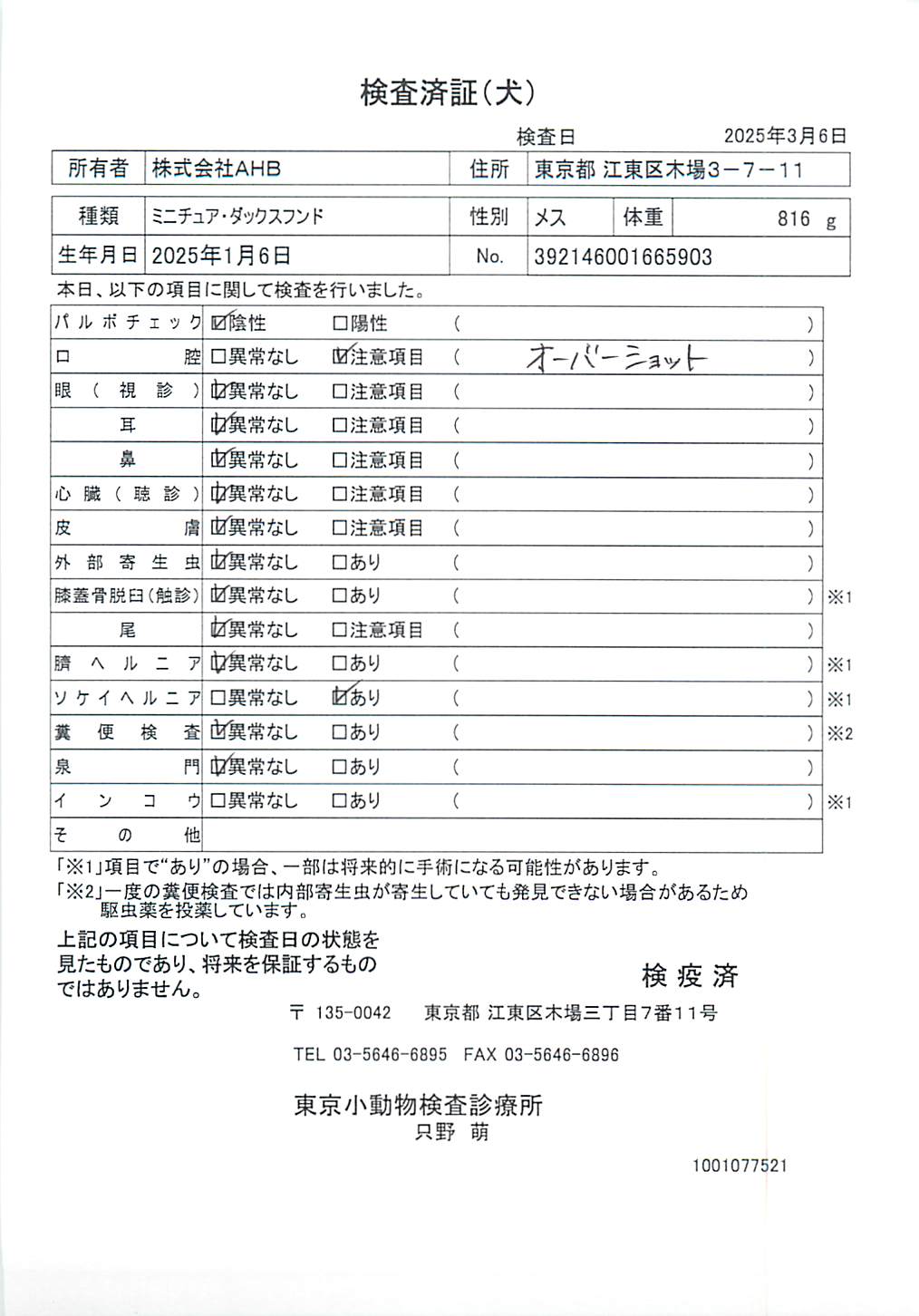 ミニチュア・ダックスフンド