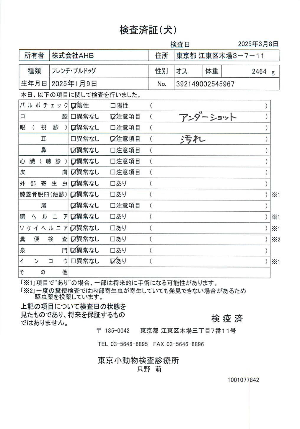 フレンチ・ブルドッグ