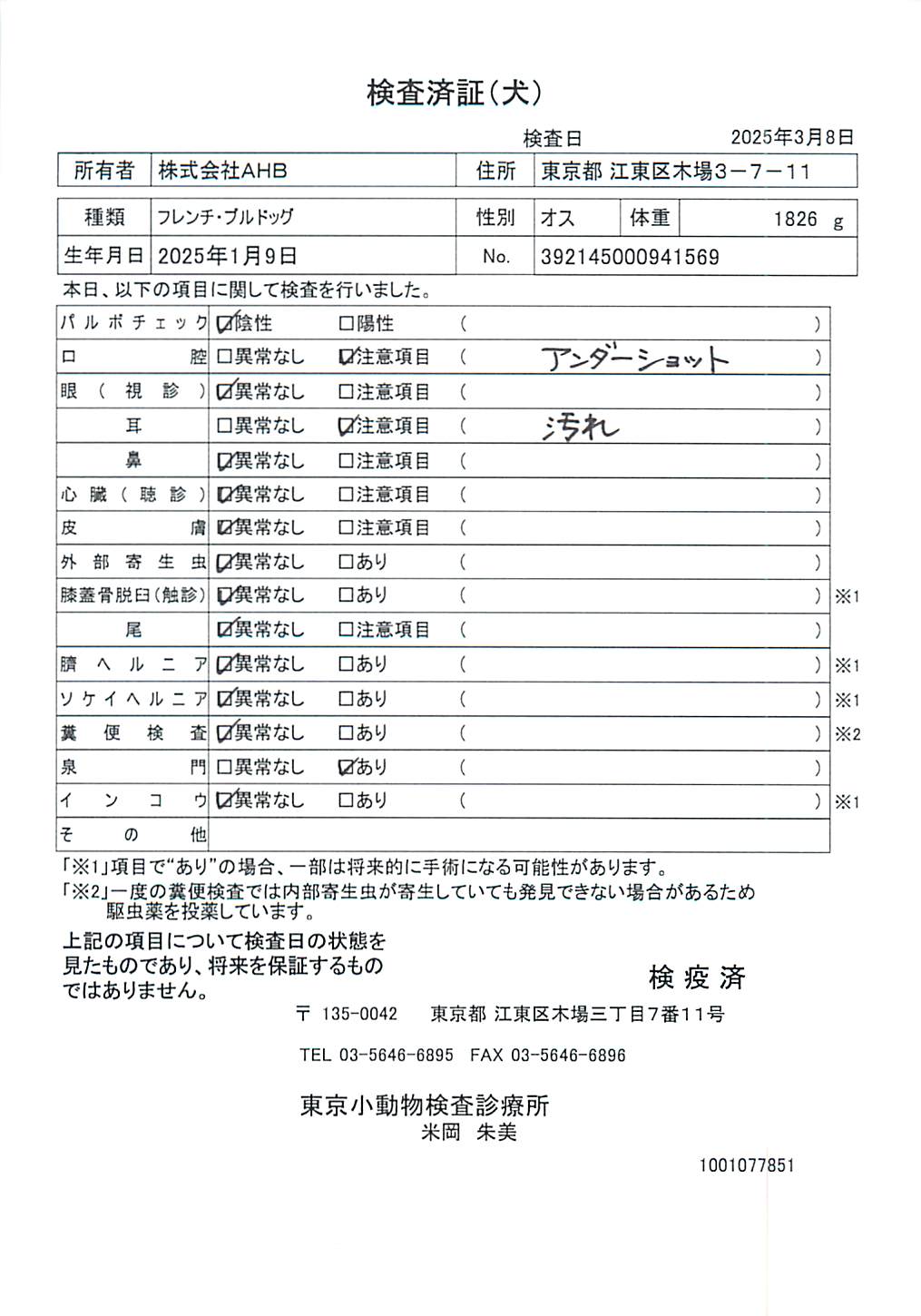 フレンチ・ブルドッグ