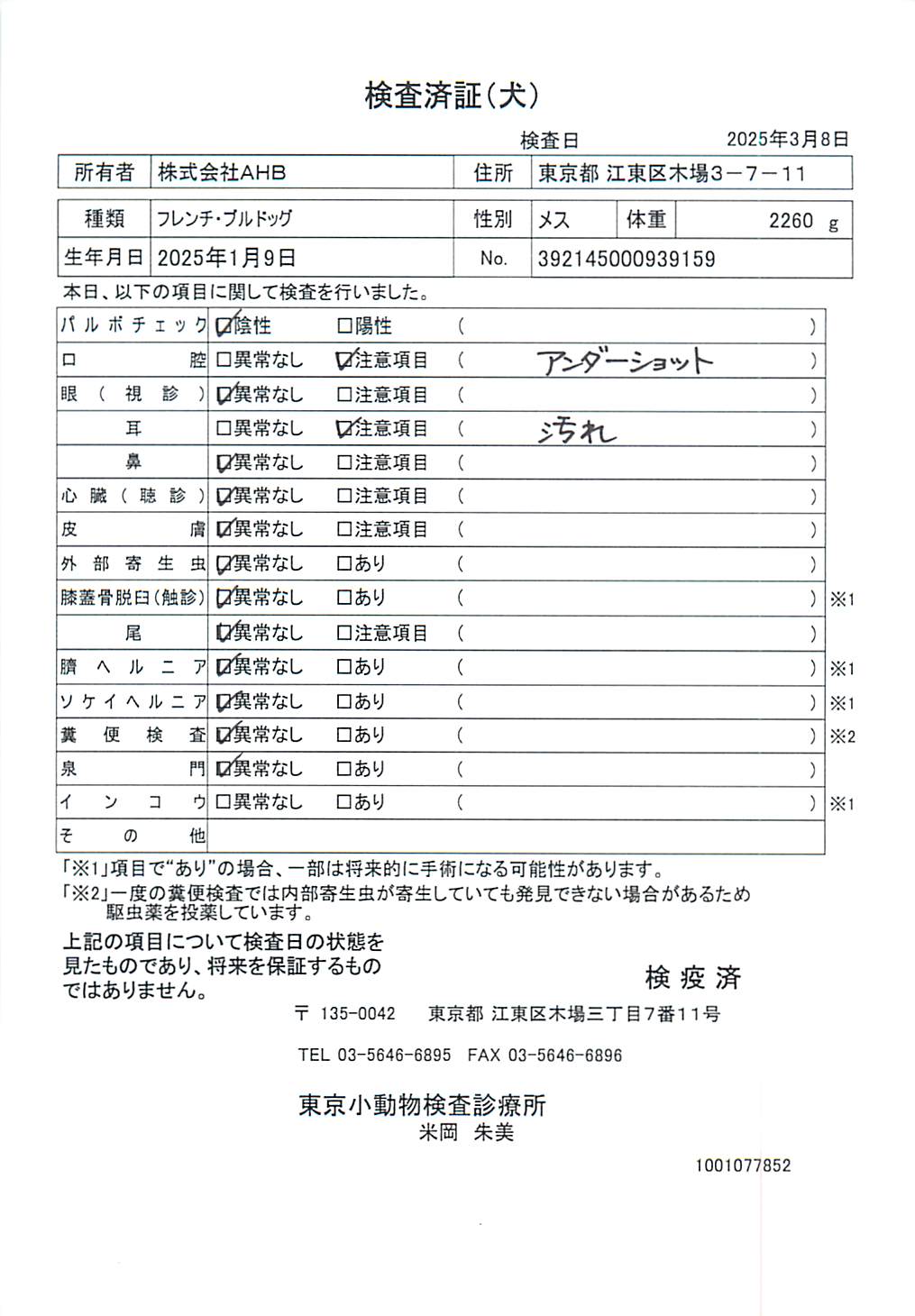 フレンチ・ブルドッグ