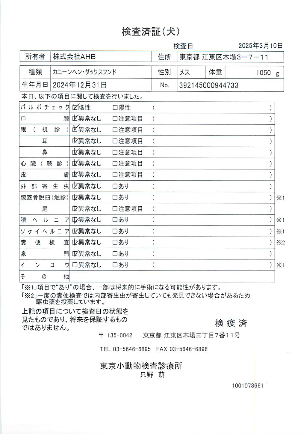 カニーンヘン・ダックスフンド