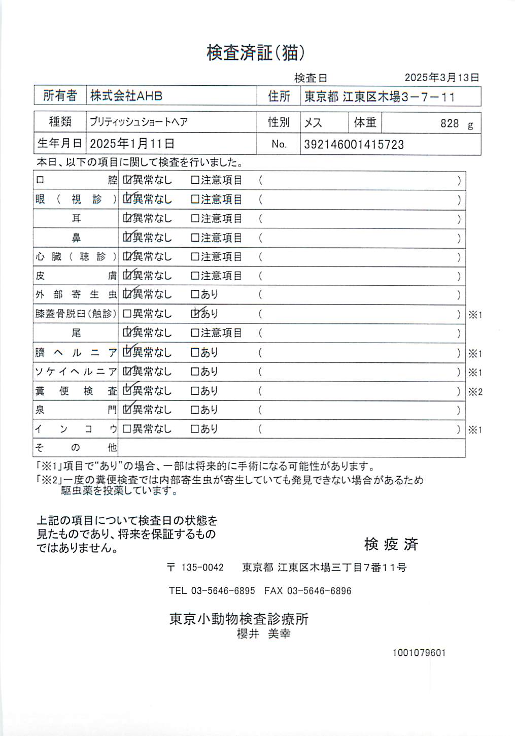 ブリティッシュショートヘア