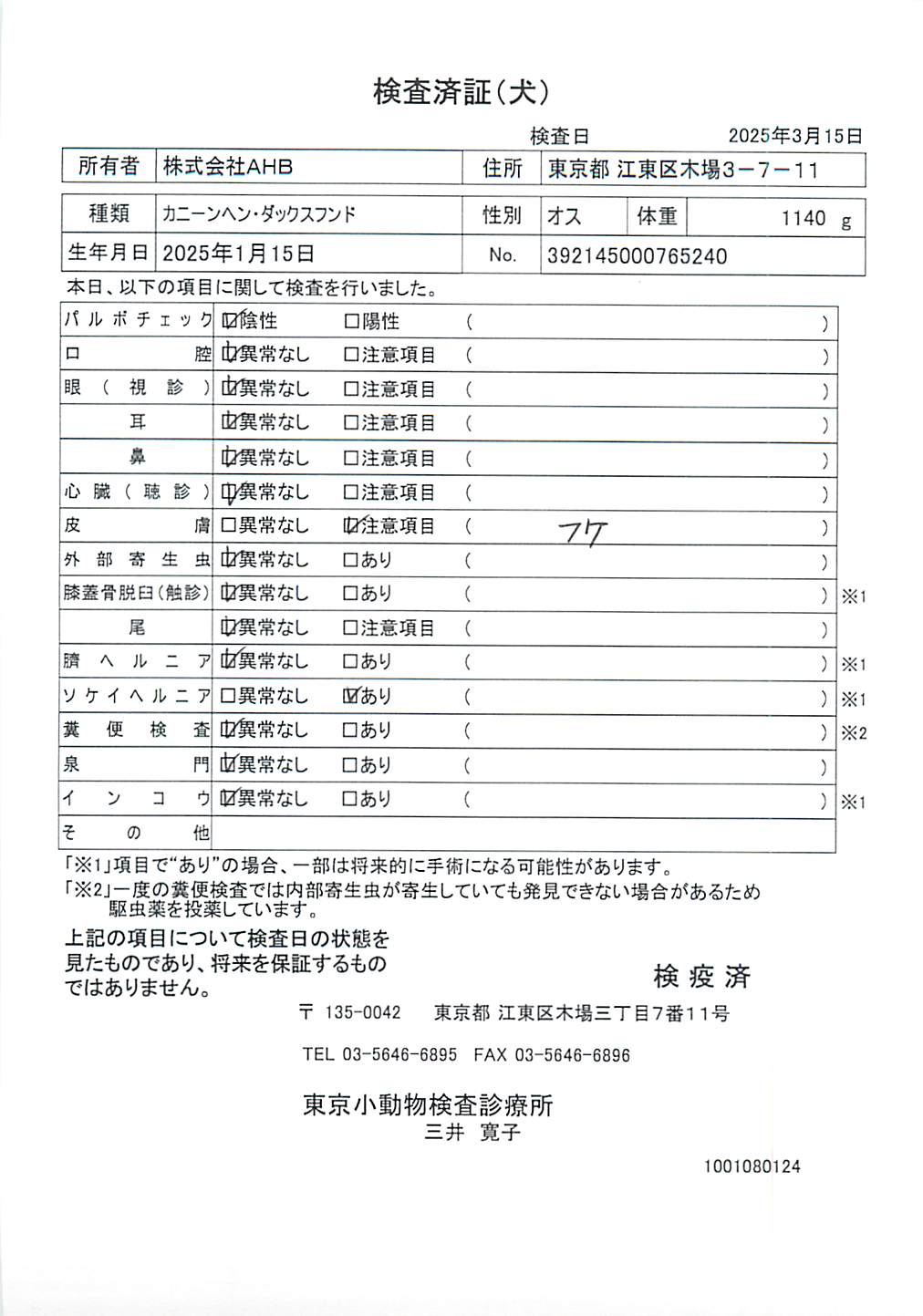 カニーンヘン・ダックスフンド