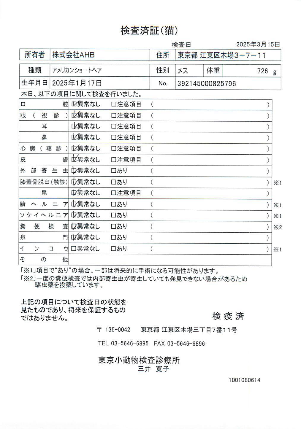 アメリカンショートヘア