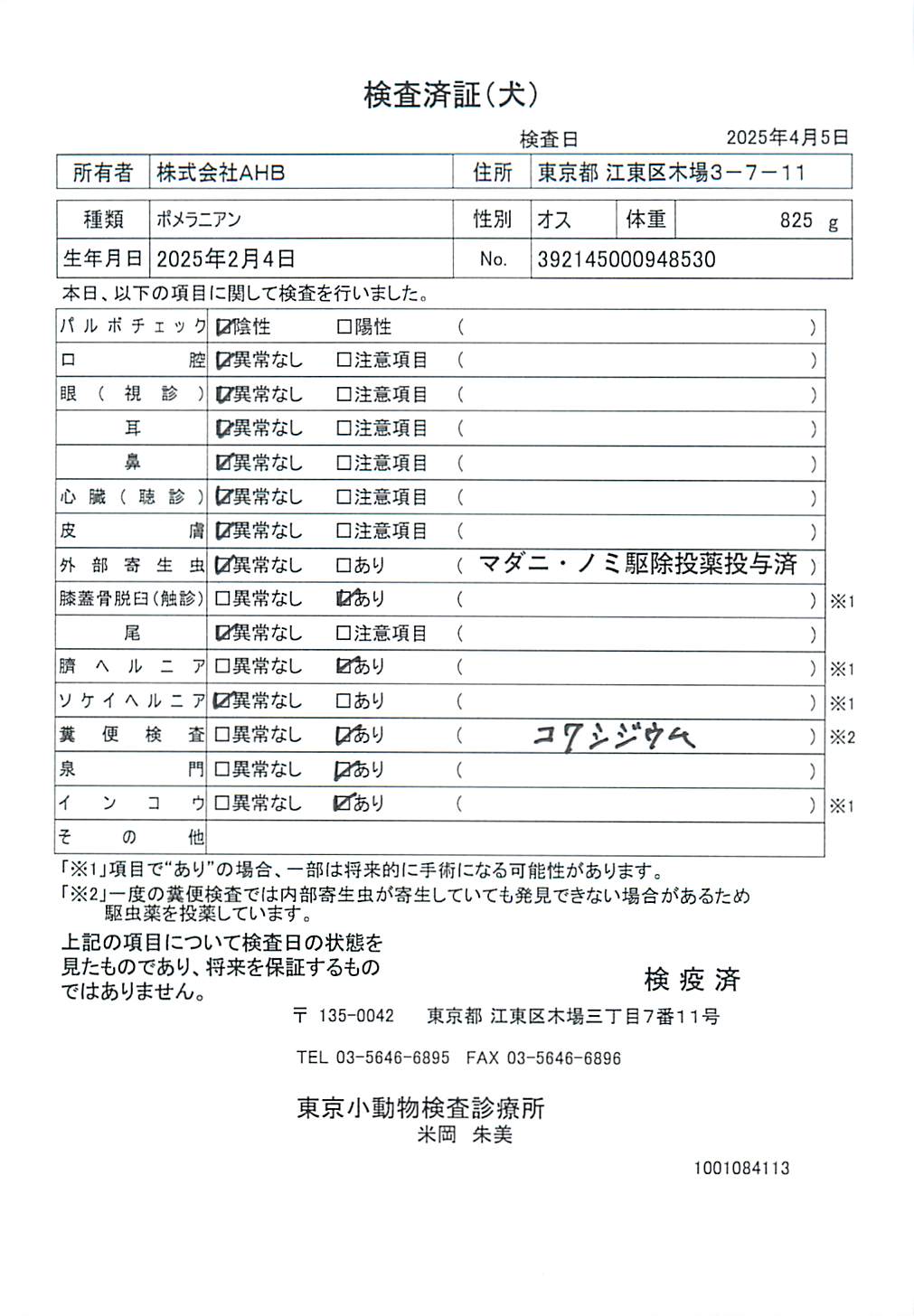 ポメラニアン