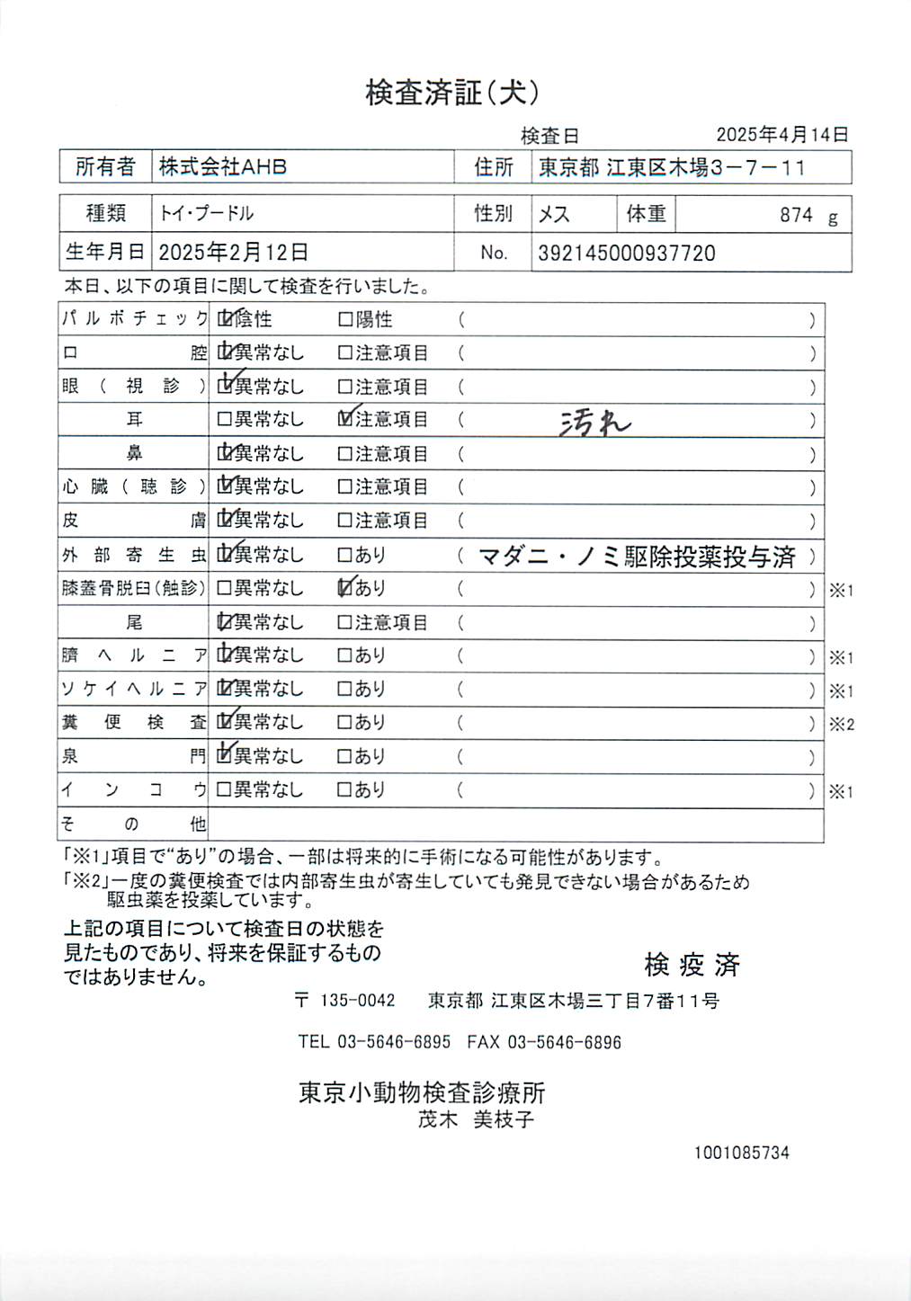 トイ・プードル
