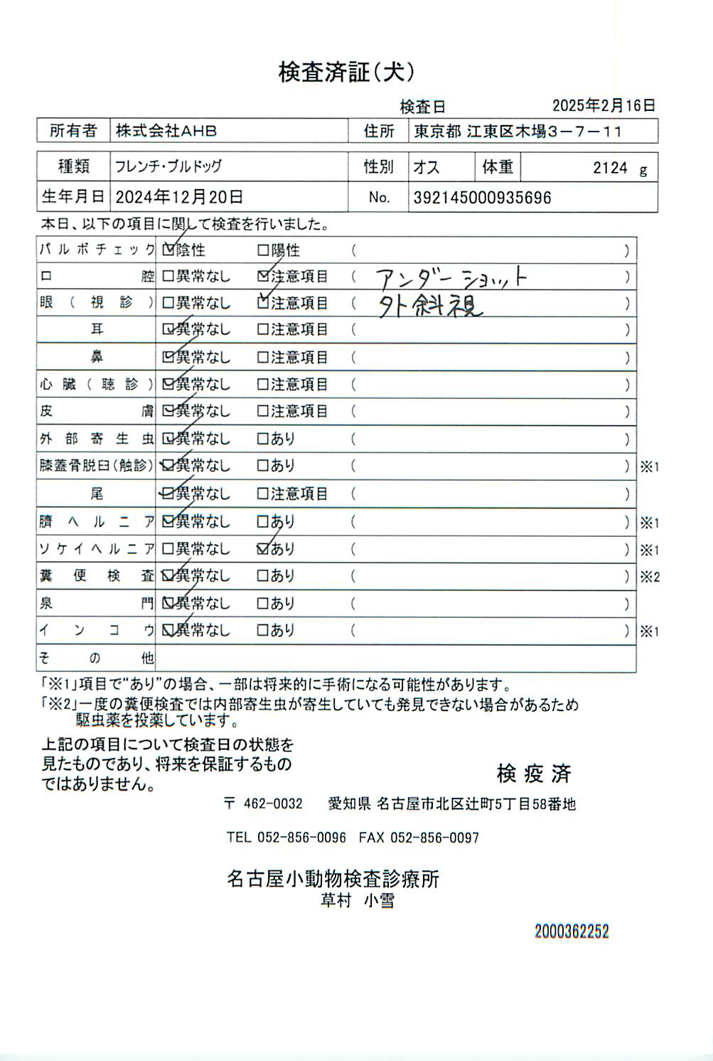 フレンチ・ブルドッグ