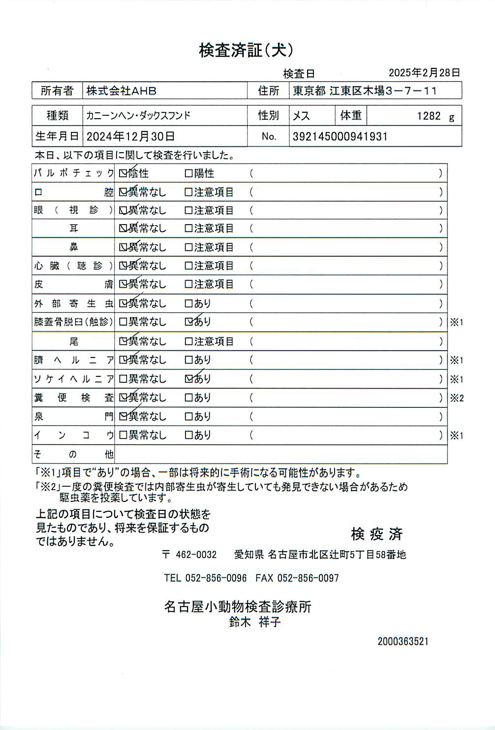 カニーンヘン・ダックスフンド