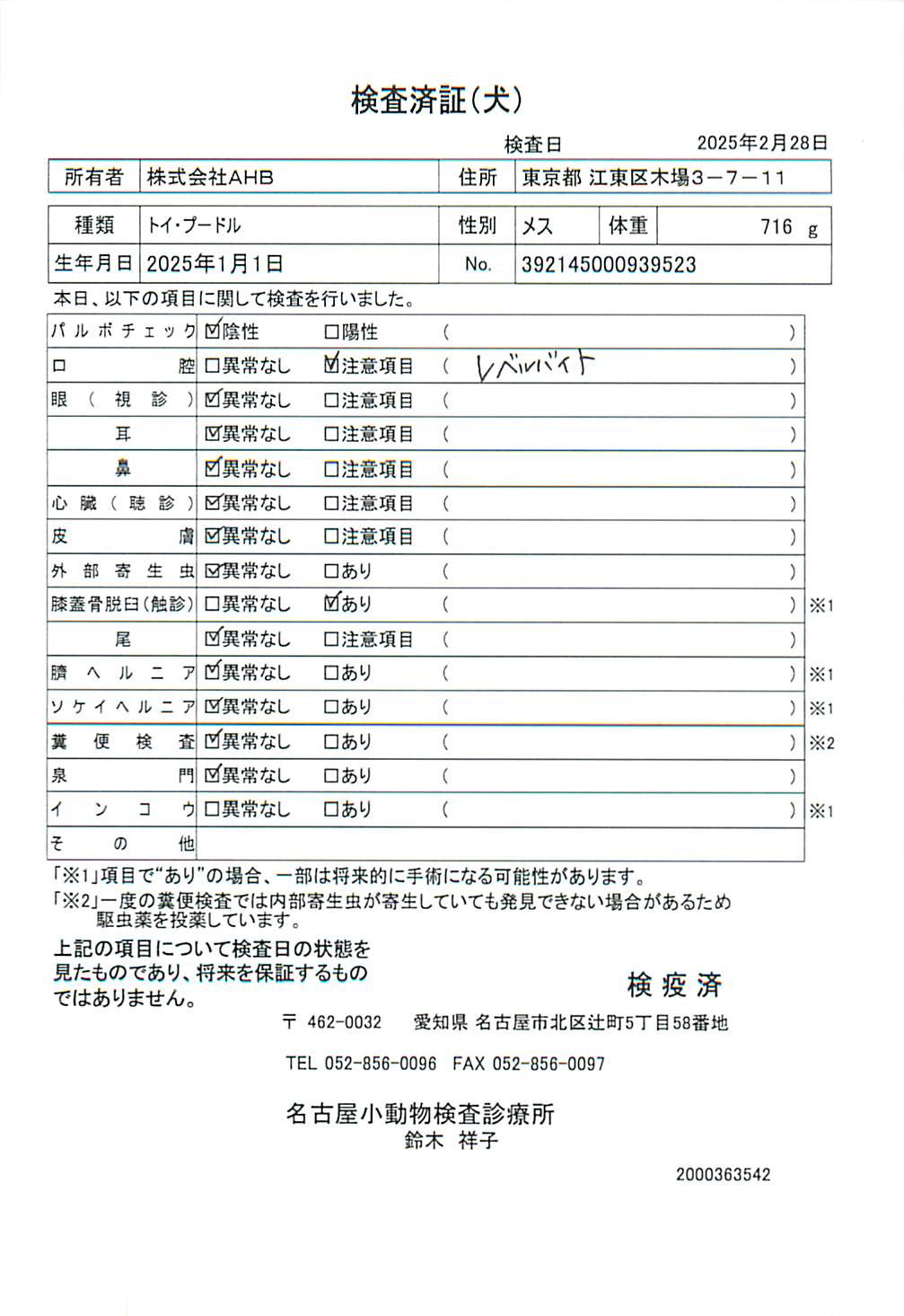 トイ・プードル