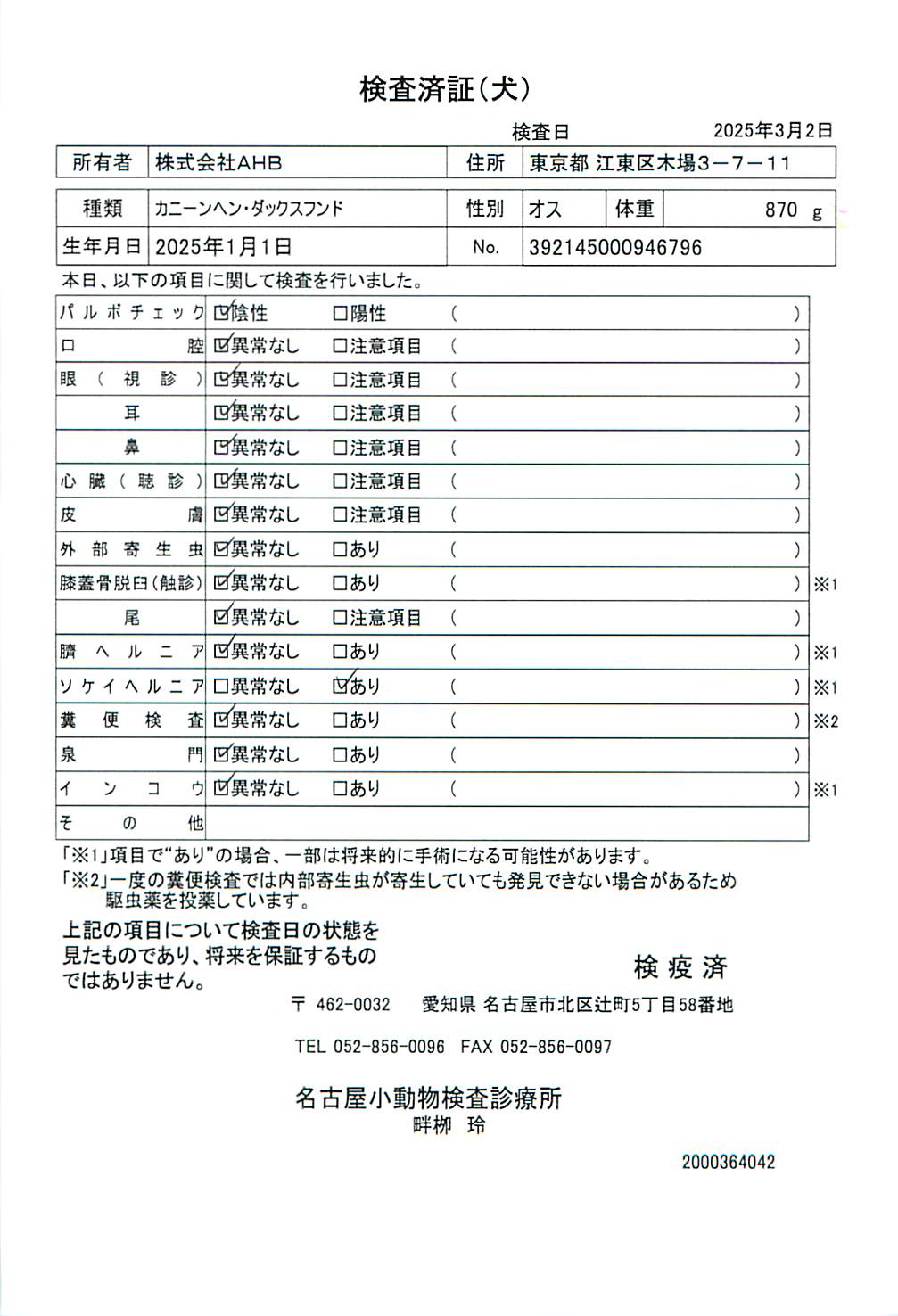 カニーンヘン・ダックスフンド