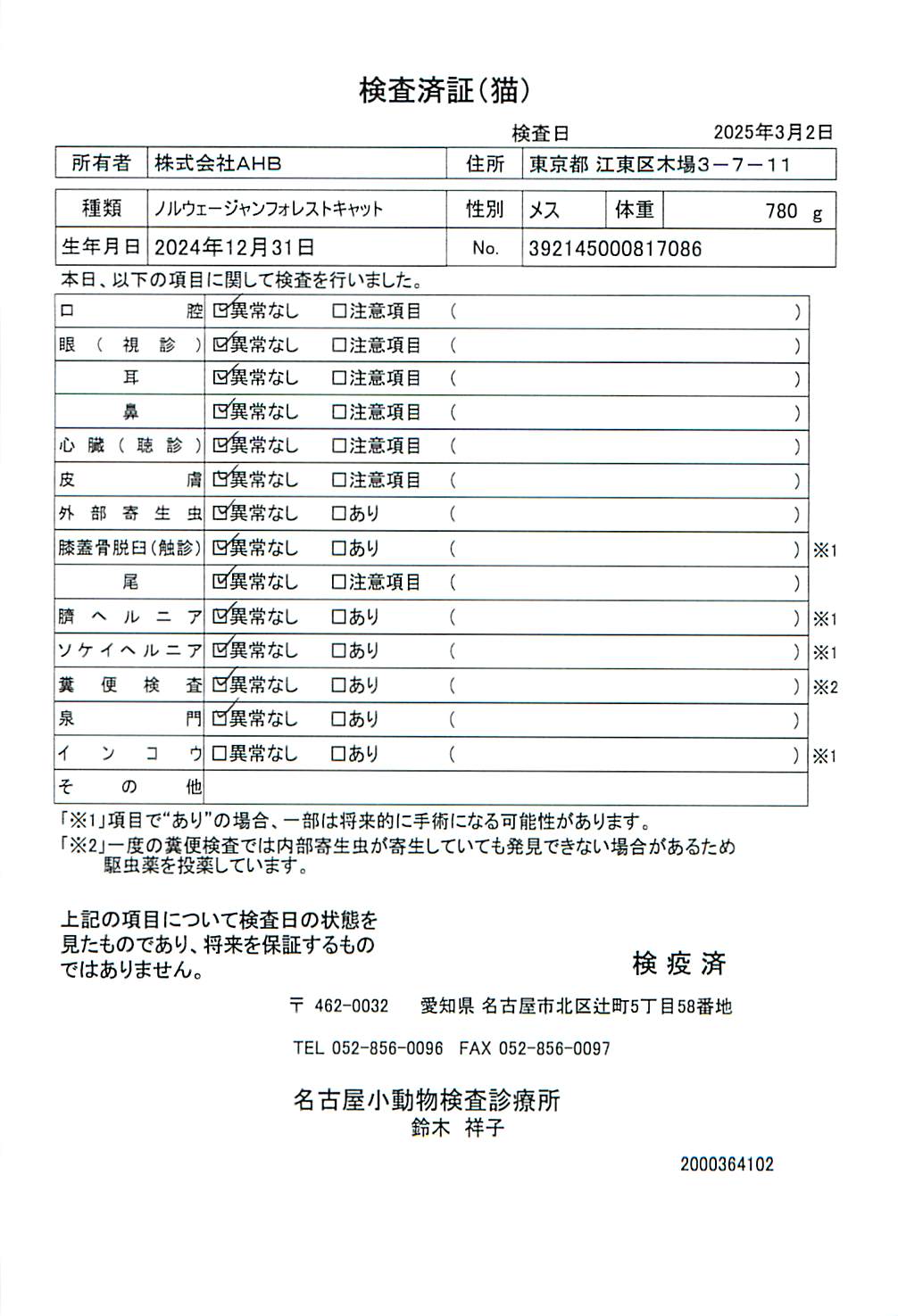 ノルウェージャンフォレストキャット