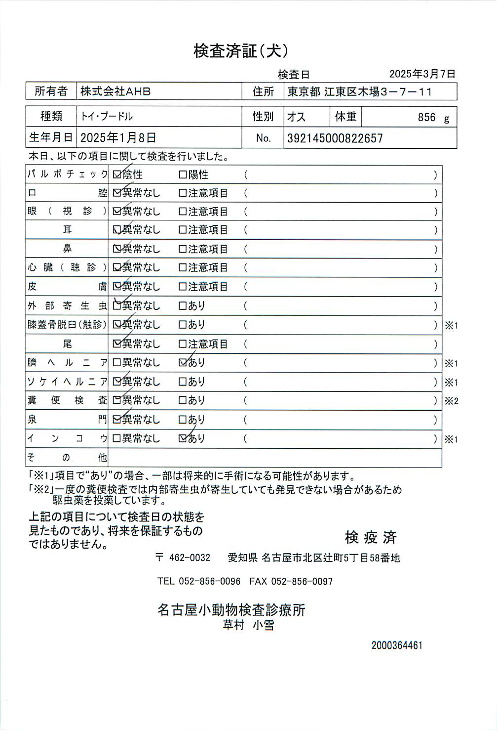 トイ・プードル