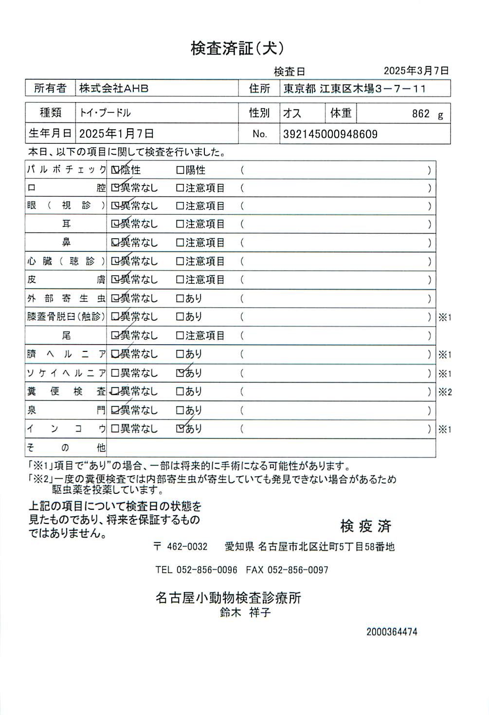 トイ・プードル