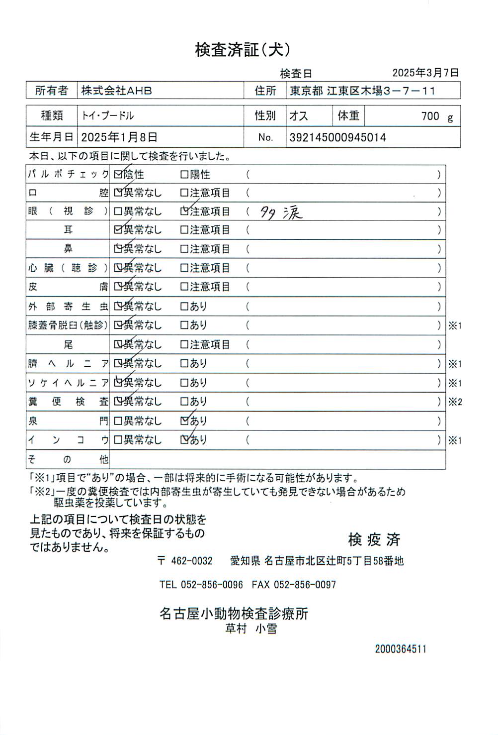 トイ・プードル